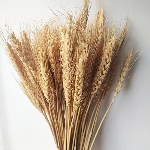 Vue 4 de Coolcrafts Tiges De Ble