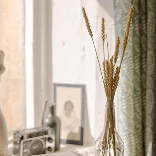 Vue 5 de Coolcrafts Tiges De Ble