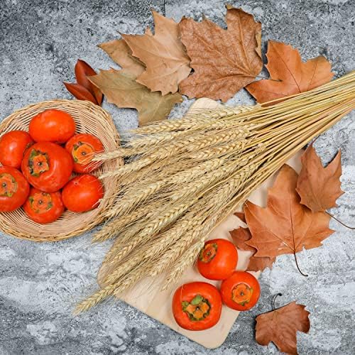 Vue 6 de Coolcrafts Tiges De Ble