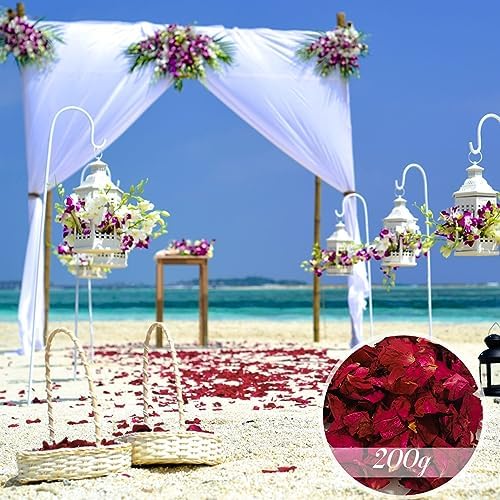 Vue 2 de Lot De Confettis Floraux