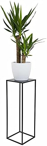 Vue 4 de Loft Support Fleurs