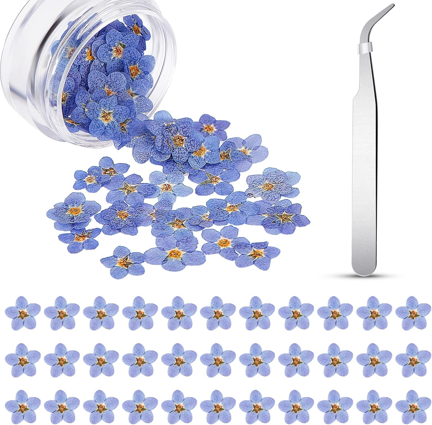 Pcs Fleurs Pressees Sechees