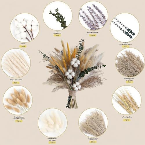 Vue 2 de Pcs Fleurs Sechees Cm