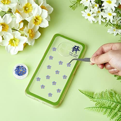 Vue 3 de Pcs Fleurs Pressees Sechees