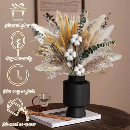 Vue 3 de Pcs Fleurs Sechees Cm