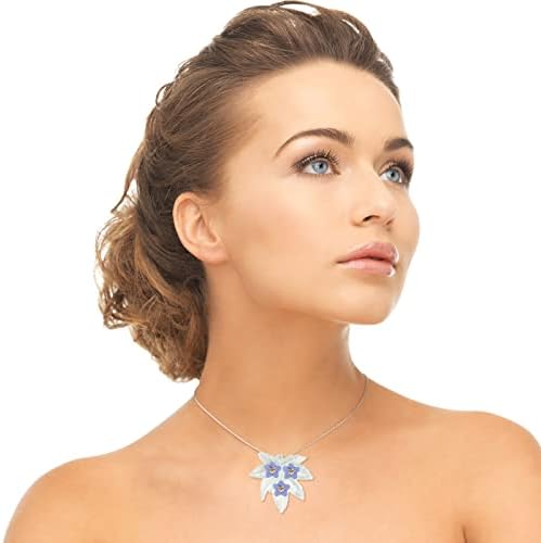 Vue 7 de Pcs Fleurs Pressees Sechees