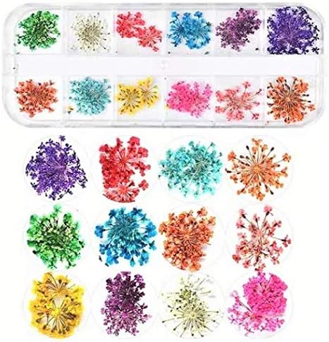 Vue 2 de Kaheign Pieces Fleur Sechee