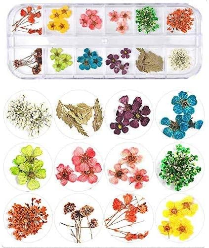 Vue 3 de Kaheign Pieces Fleur Sechee