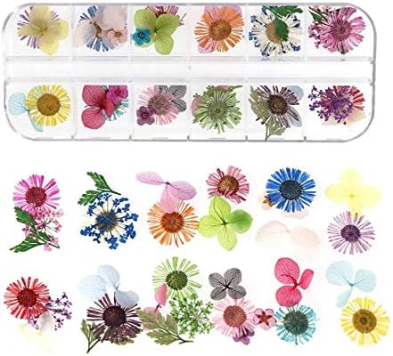 Vue 4 de Kaheign Pieces Fleur Sechee