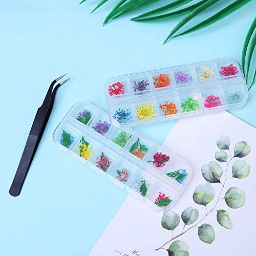 Vue 6 de Kaheign Pieces Fleur Sechee