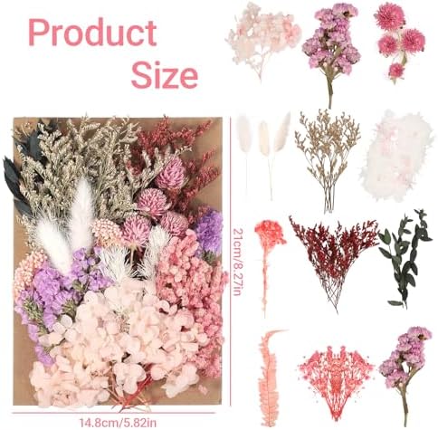 Vue 3 de Fleurs Sechees Naturelles Et