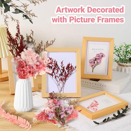 Vue 6 de Fleurs Sechees Naturelles Et