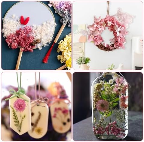 Vue 7 de Fleurs Sechees Naturelles Et