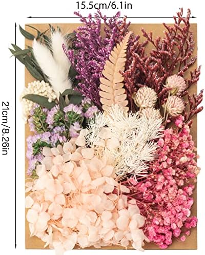 Vue 2 de Laumoe Fleurs Sechees Fleurs