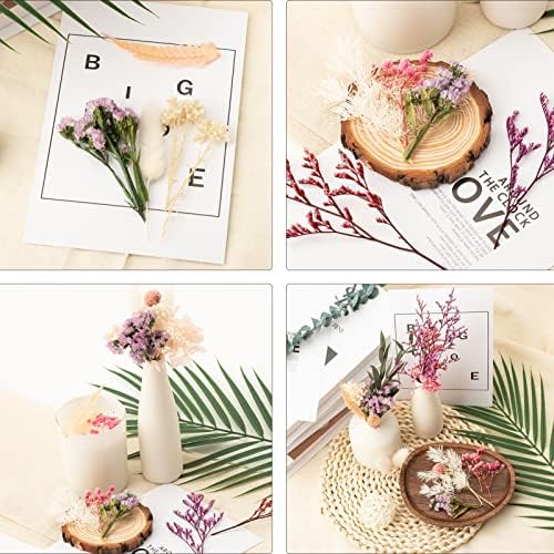 Vue 3 de Laumoe Fleurs Sechees Fleurs