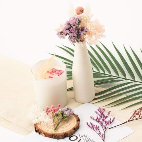 Vue 5 de Laumoe Fleurs Sechees Fleurs