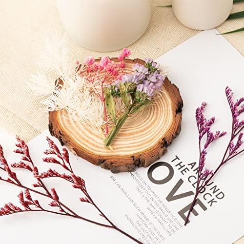 Vue 7 de Laumoe Fleurs Sechees Fleurs