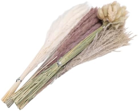 Vue 2 de Herbe De Miscanthus Sechee