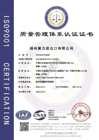 ISO9001中文版