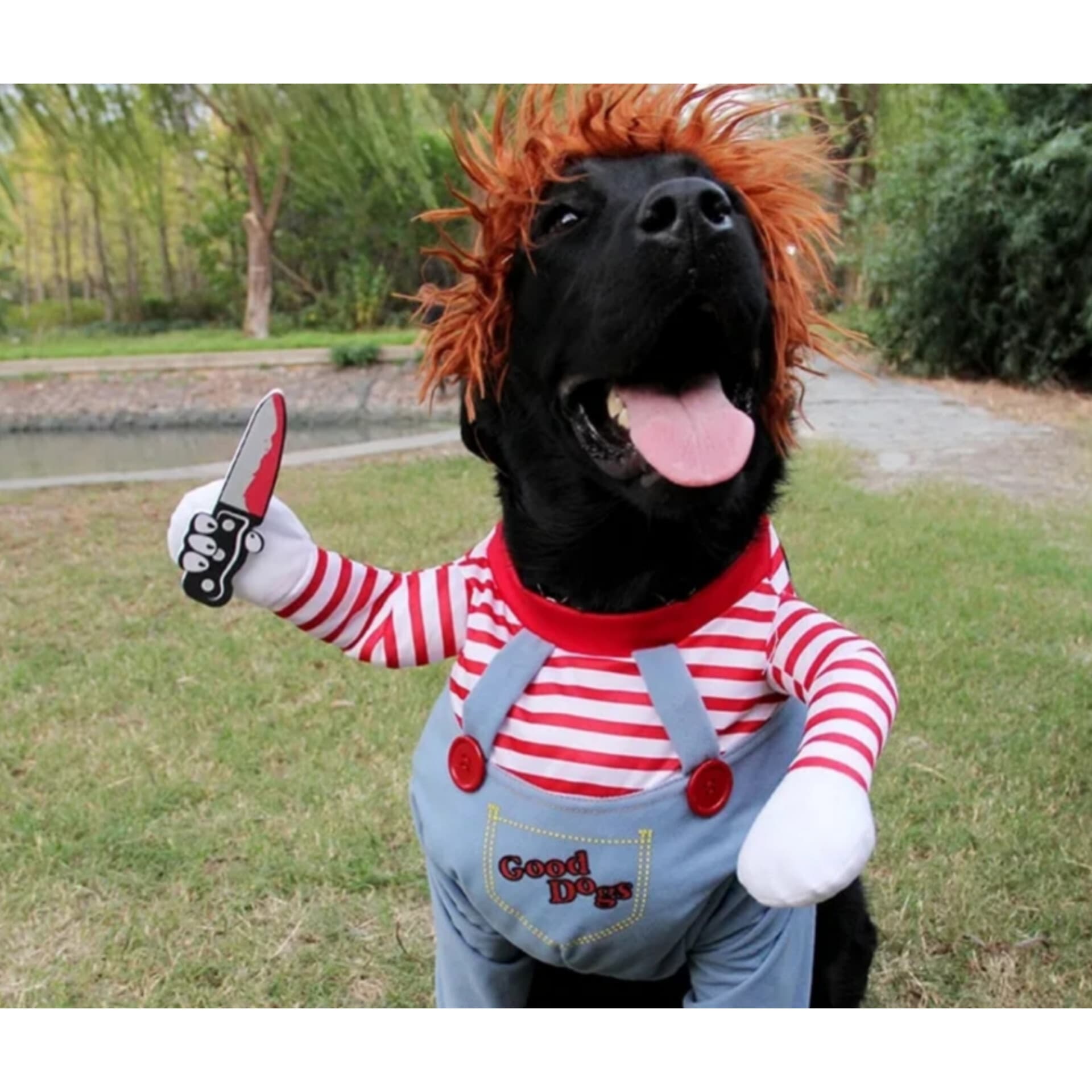 Halloween Pet Costume Pet Dog Funny Clothes Adjustable Dog Cosplay Costume Scary Costume Party Gatherings - Image 2