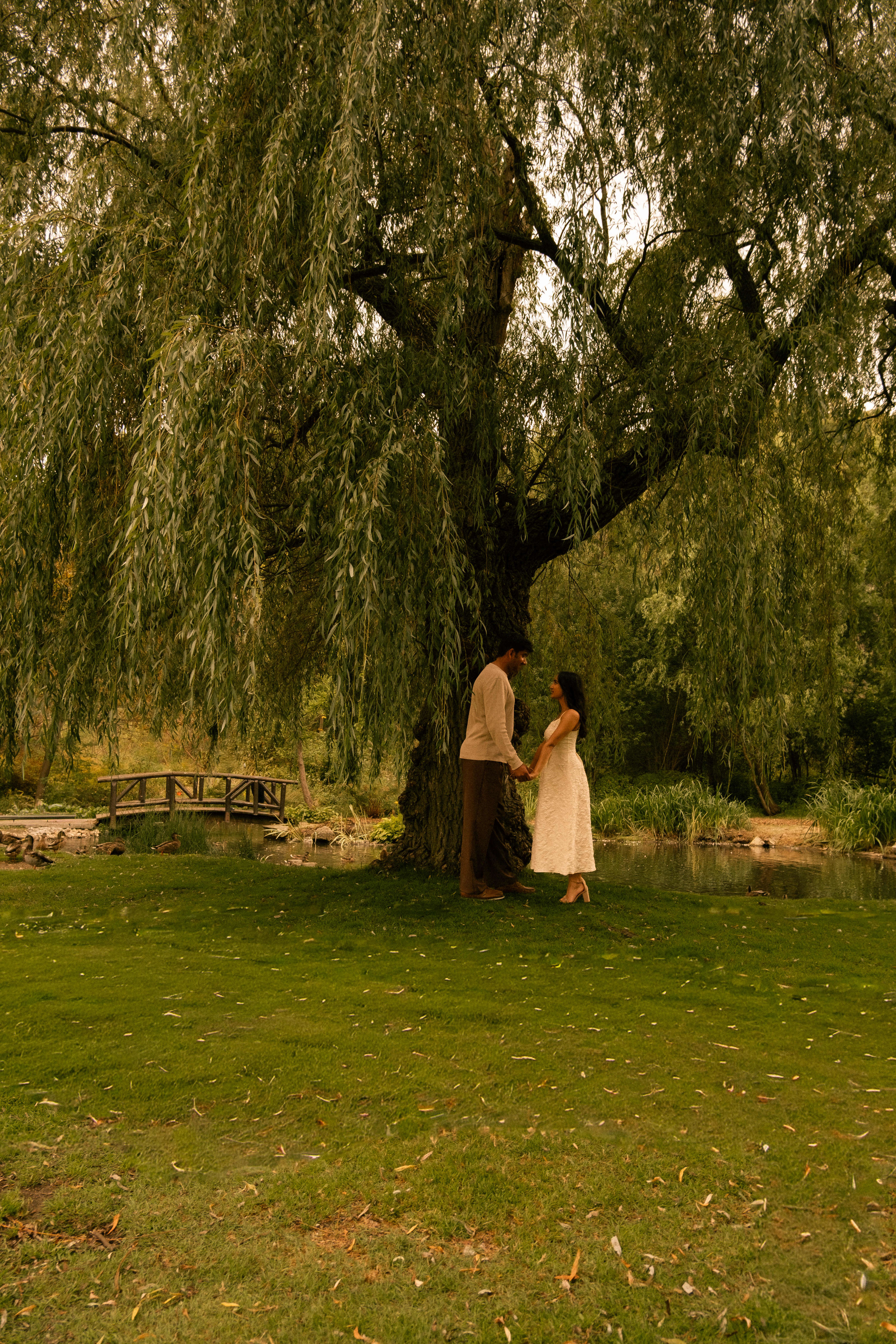Mahika & Akash — Couples, Proposal photography in North York, ON