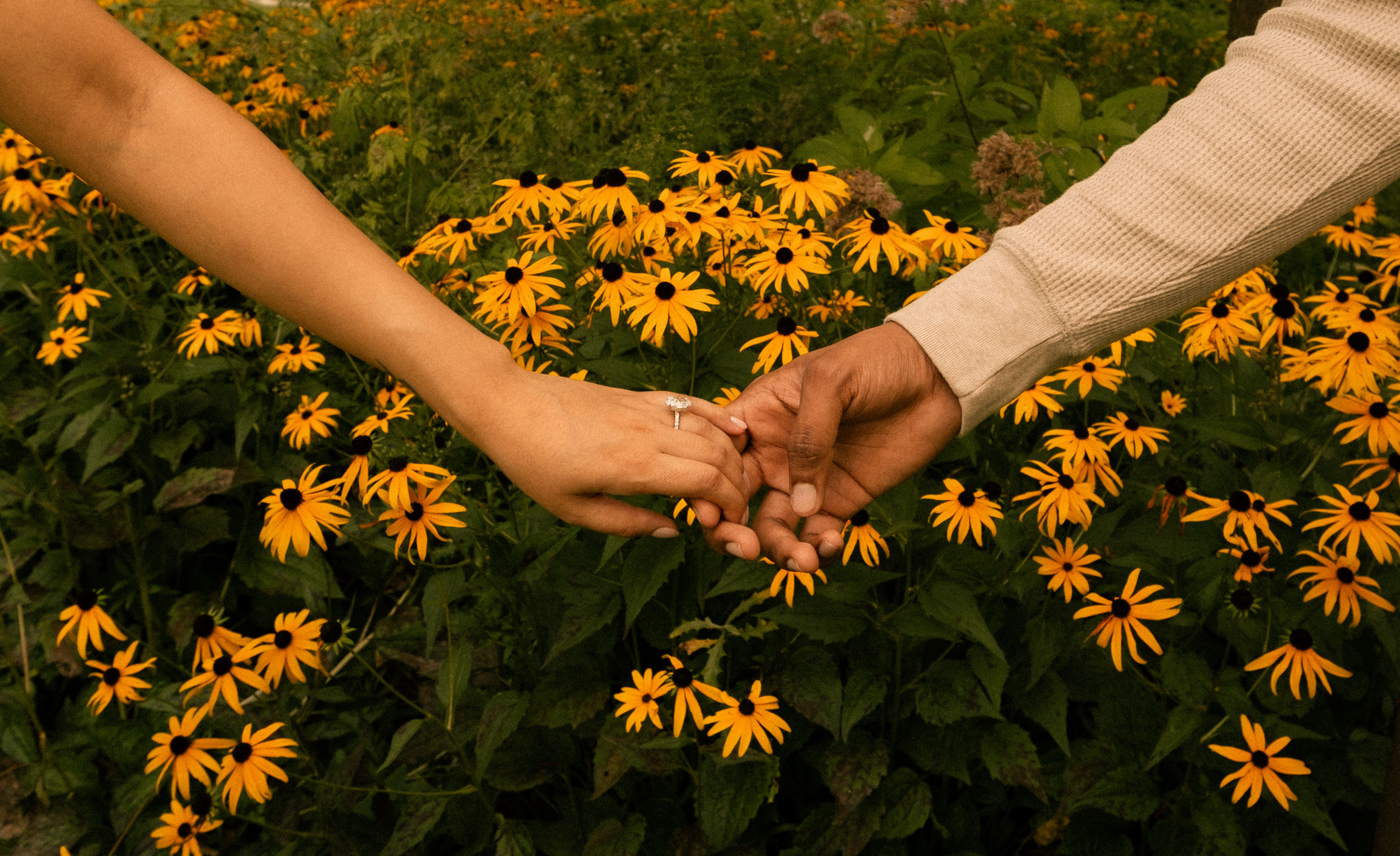 Mahika & Akash — Couples, Proposal session by bynept