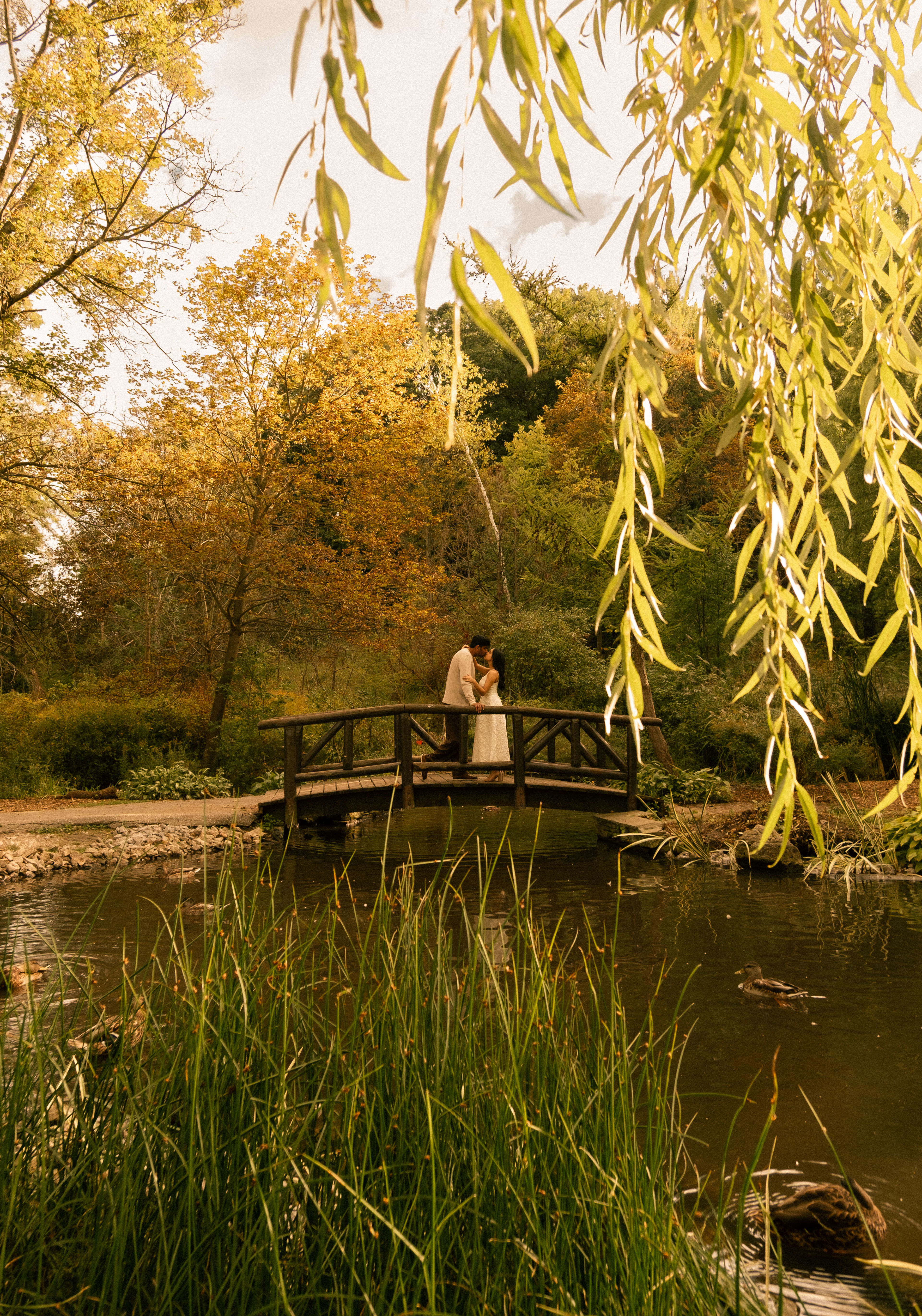Mahika & Akash — Couples, Proposal photography in North York, ON