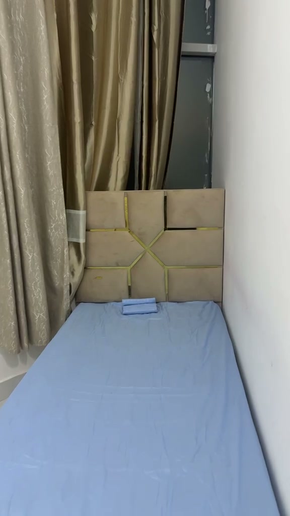بارتشن بالنخيل 2