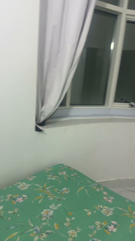 بارتشن بالنخيل 2