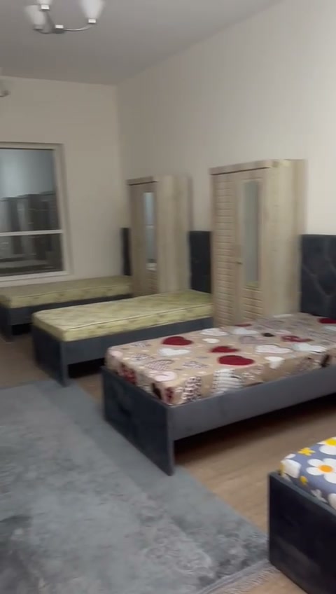 سرير شباب بالنخيل 2