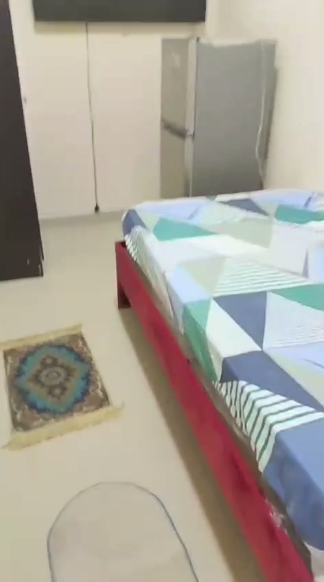 بارتشن بالنعيمية 2