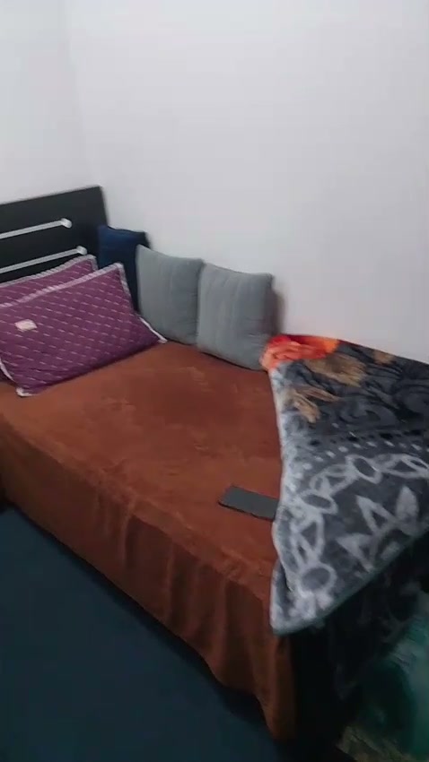 بارتشن بالنخيل 2