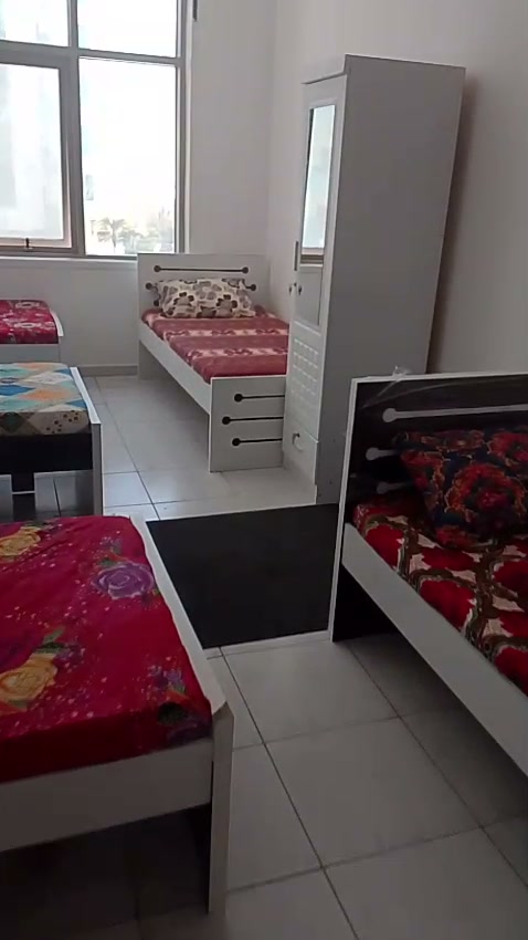 سرير لشاب في النخيل 2 - كورنيش عجمان