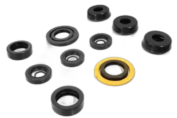 KIT REPARO JACTO JP 75 - 2021