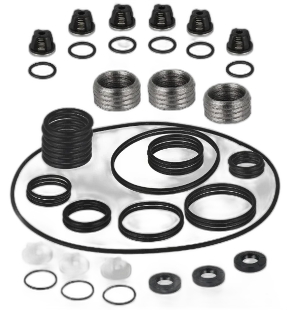 KIT REPARO COM VÁLVULAS ZM 25/420 - 30/600 - 2043
