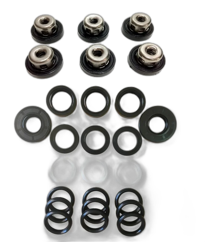 KIT REPARO BOMBAS COM PISTÃO DE 22 MM COM VÁLVULAS - 2222
