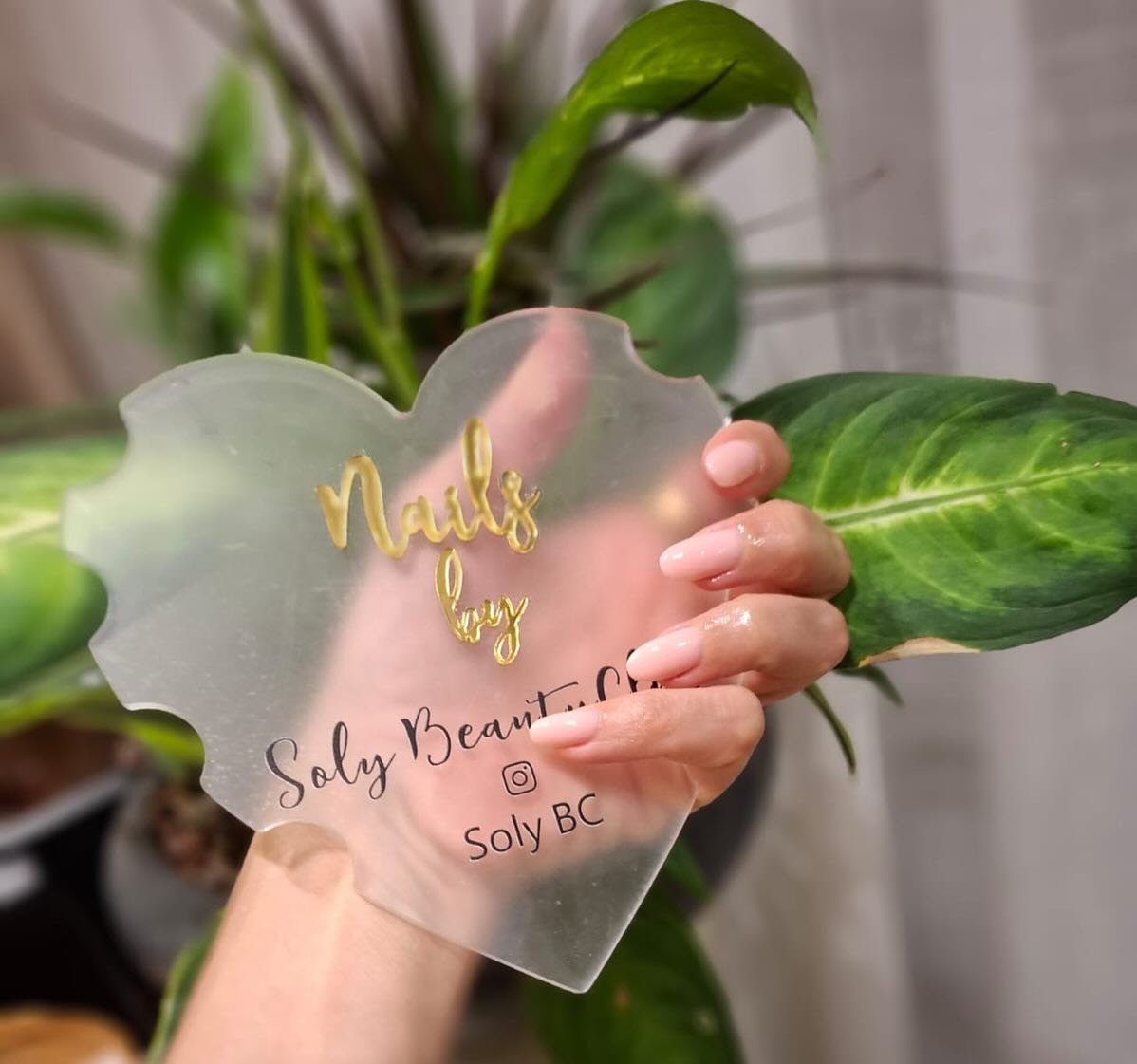Soly Beauty Club 2