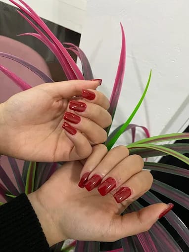 Les Camelias Beauty Center 2