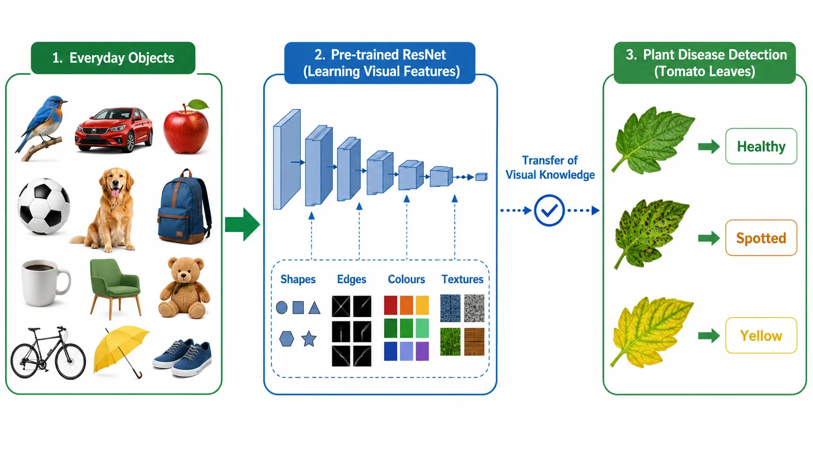 Transfer learning process from general image knowledge to plant disease detection.