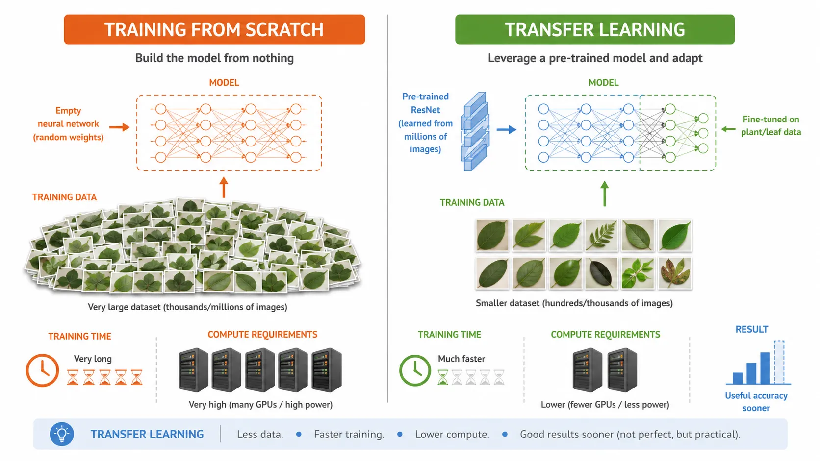 Comparison between training a model from scratch and using transfer learning