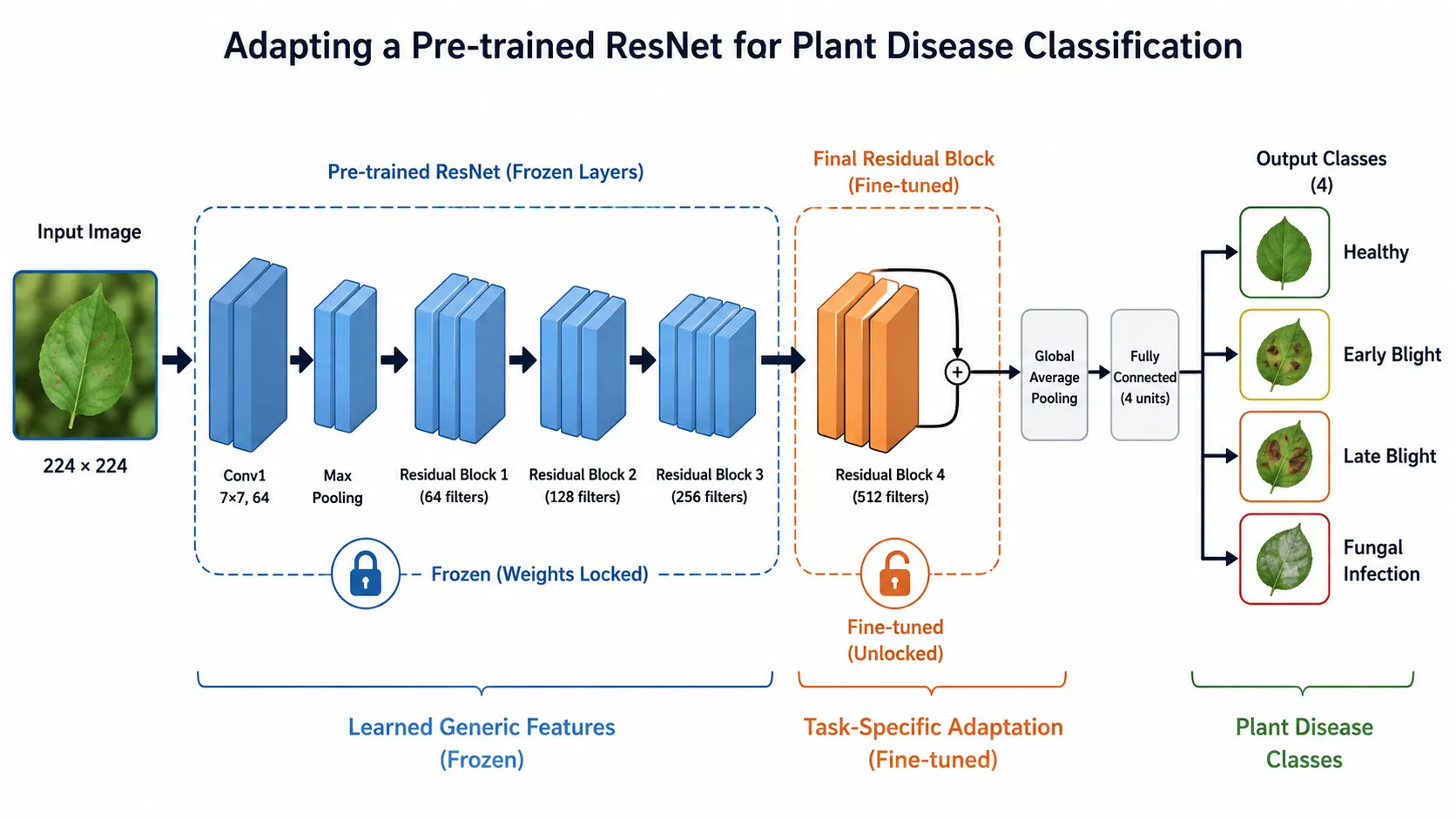 Fine-tuning a pre-trained ResNet model for four plant disease classes