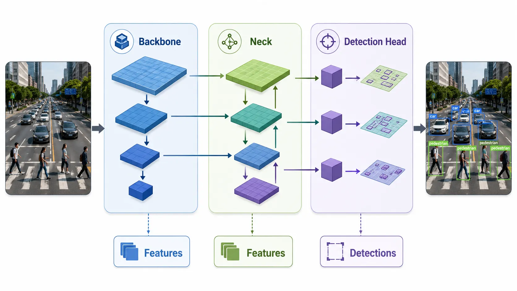 YOLO architecture showing backbone neck and detection head