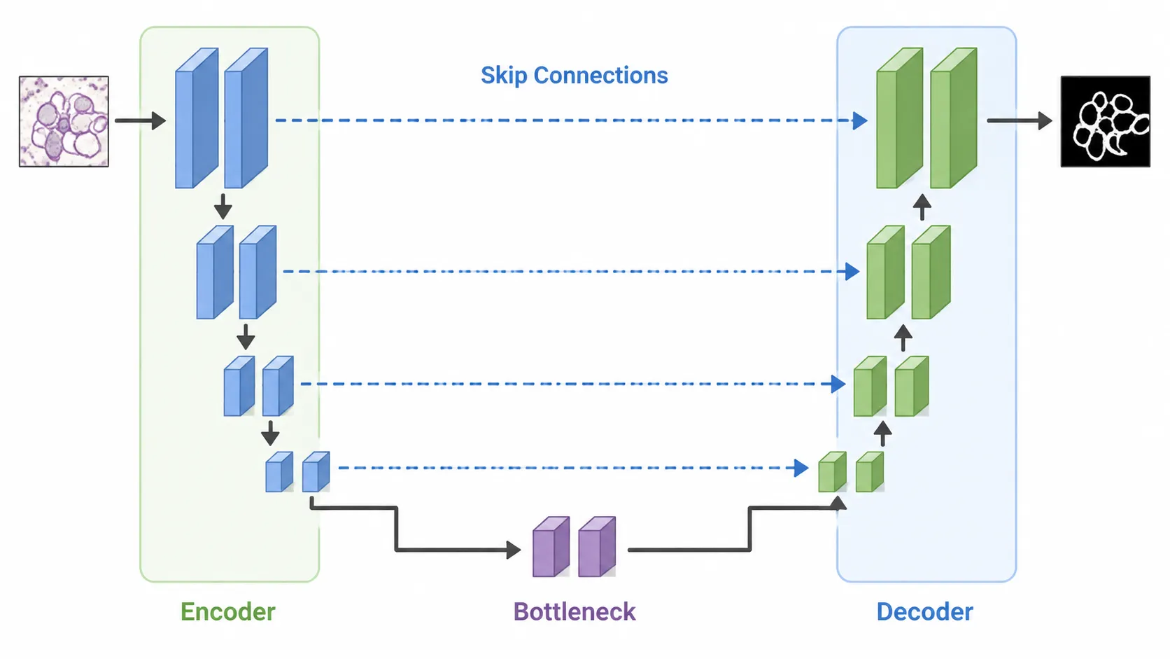 u net architecture explained