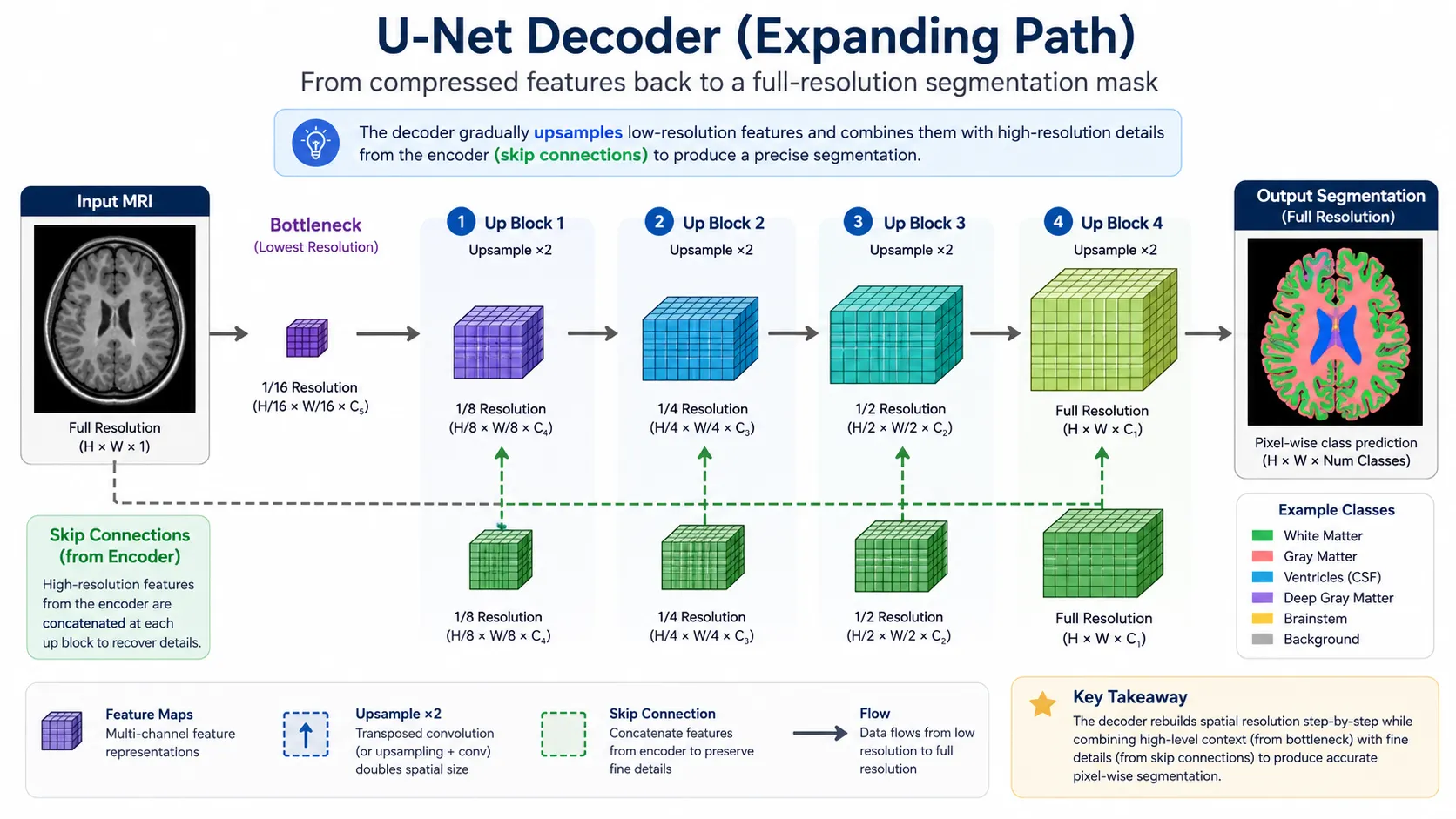 u net decoder upsampling
