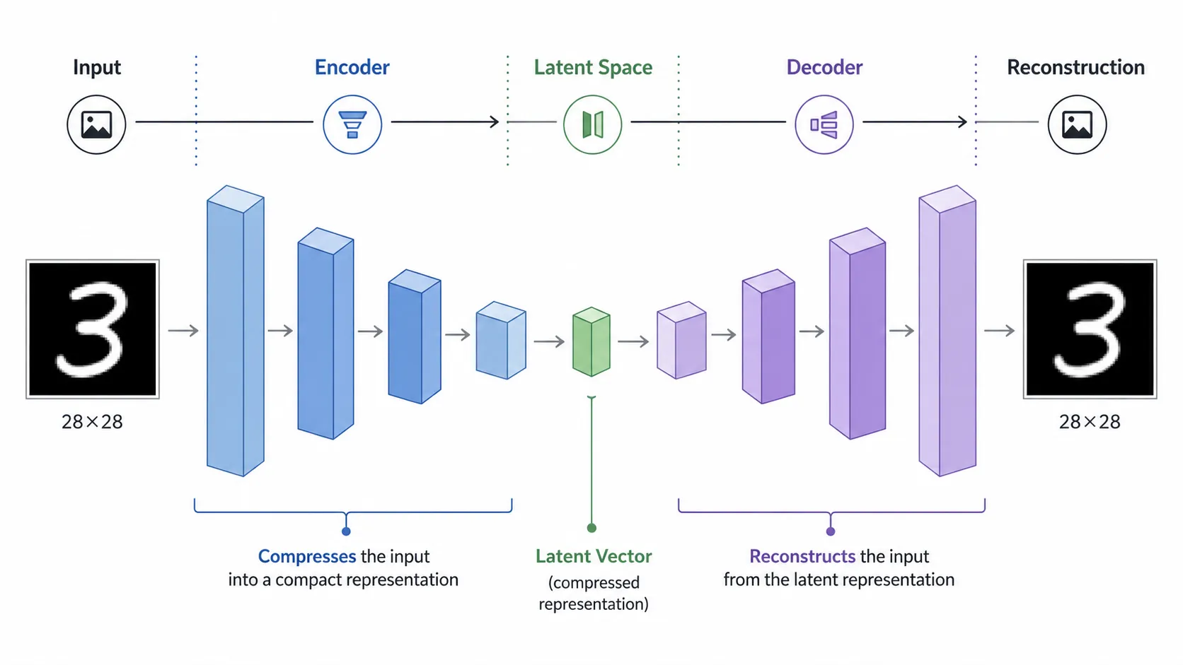 Autoencoder architecture showing input encoder latent space decoder and reconstructed output