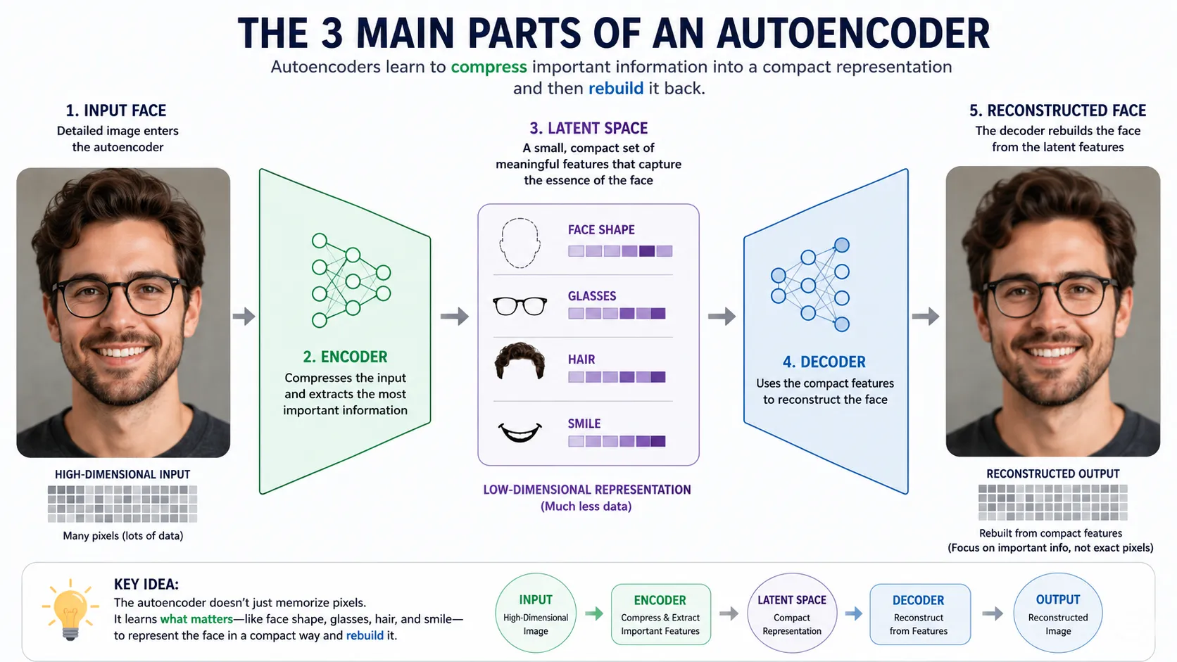 Encoder bottleneck latent space and decoder explained visually