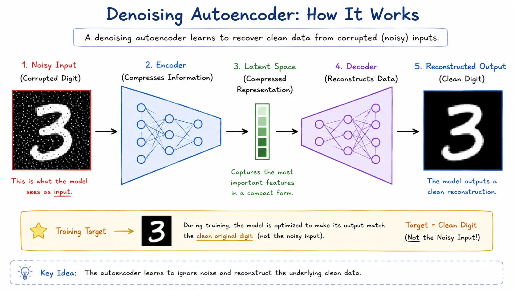Denoising autoencoder workflow from noisy input to clean reconstructed image