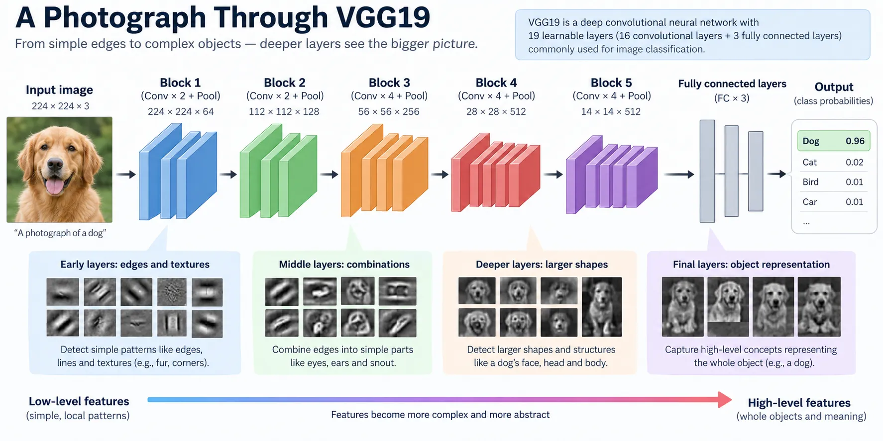 VGG19 CNN extracting image features for neural style transfer