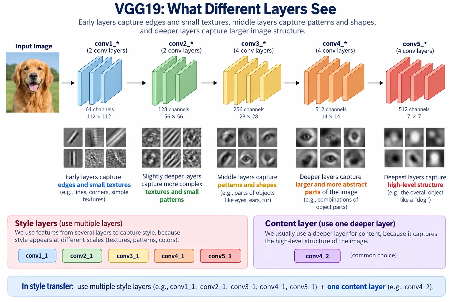 VGG19 content and style layers used in neural style transfer