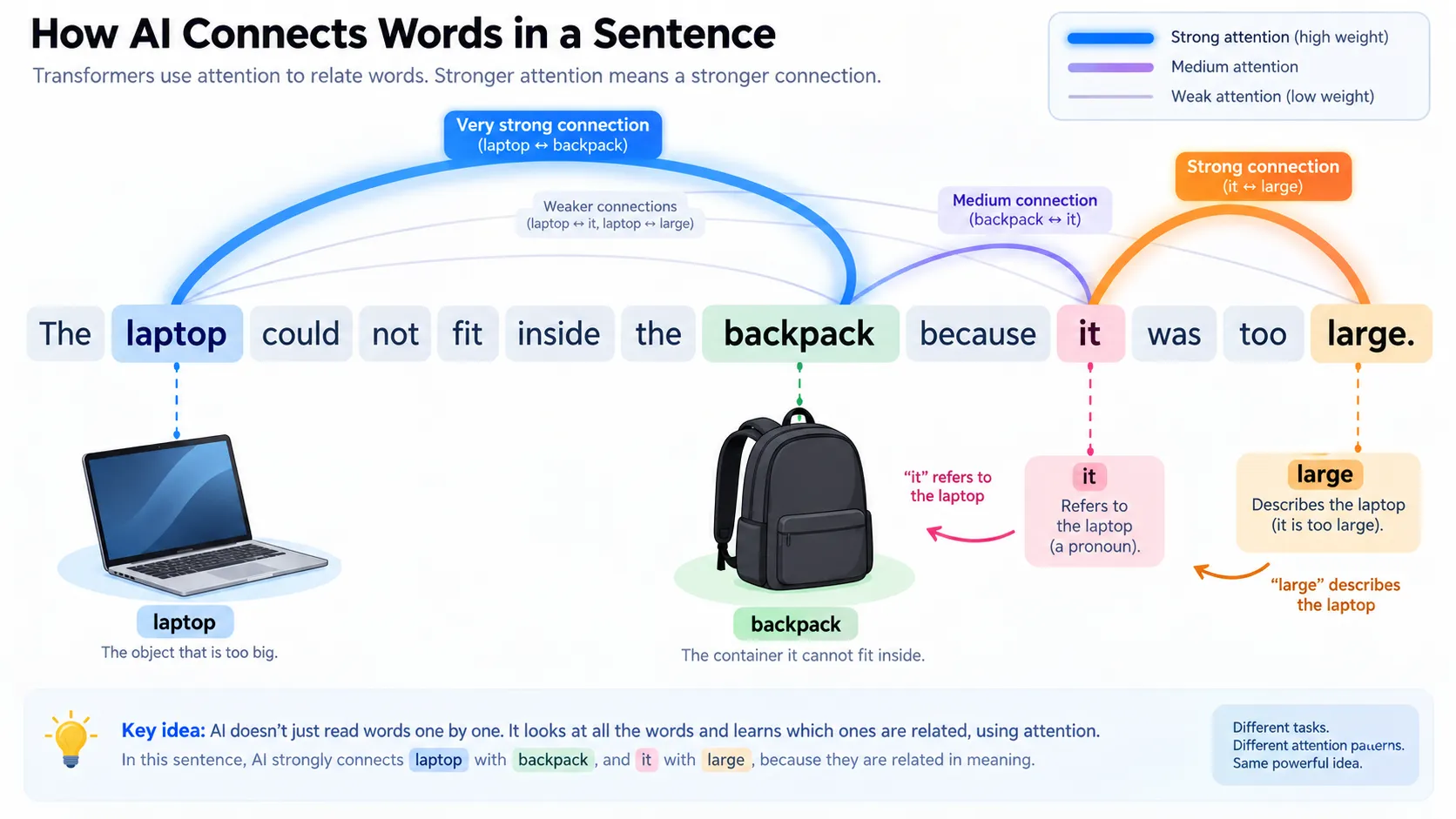 How Attention Focuses on Relevant Words